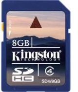 Kingston-sd4-8gb-7